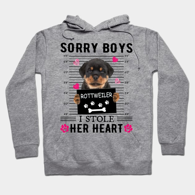 Rottweiler Sorry Boys I Stole Her Heart Happy Valentine's Day Hoodie by PlumleelaurineArt